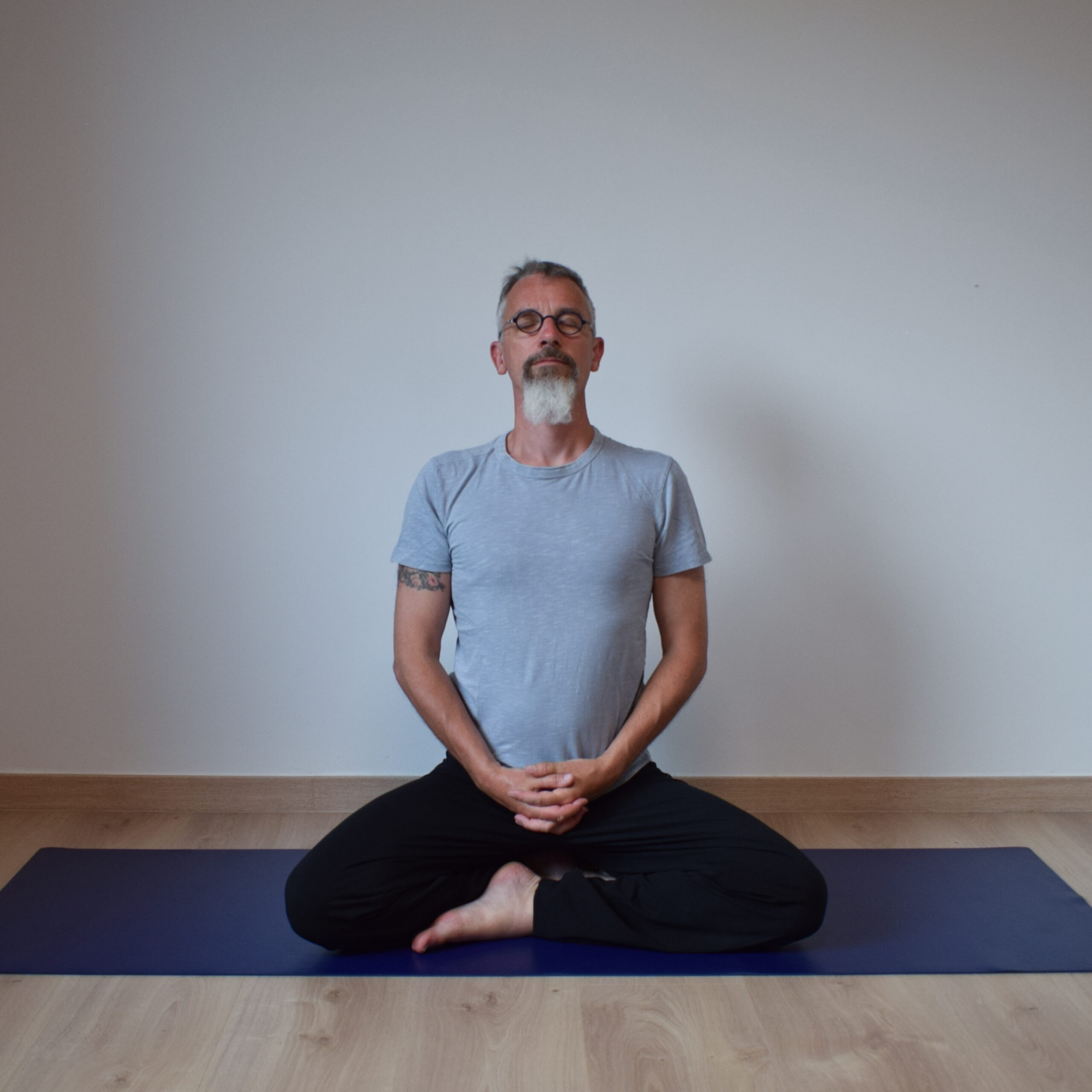 online yoga lessen workshop physioyoga